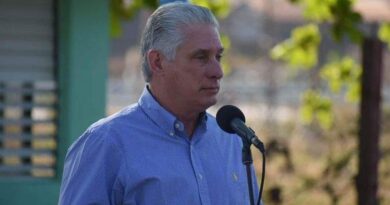 Cuban president describes dialogue with people as democracy
