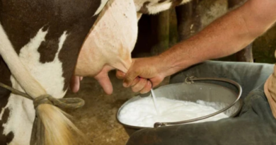 Enderezar el camino de la leche, una misión estratégica en Florida