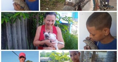 Pobladores de Santa Cruz del Sur protegen animales como a un familiar