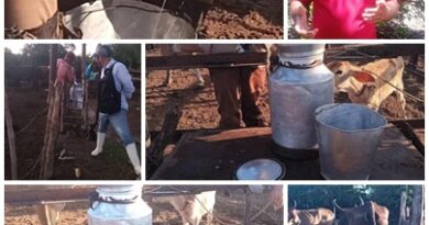 Efectúan en localidad santacruceña ejercicio de ordeño y entrega de leche vacuna