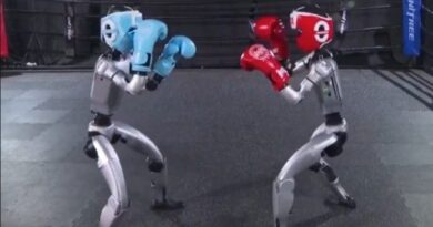 China desarrolló el primer torneo oficial de boxeo entre robots humanoides (+ Video)