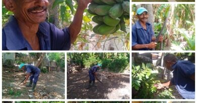 Santacruceño Reinerio Mora: con machete y voluntad garantiza prosperidad de sus cultivos