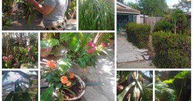 Para profesora santacruceña su patio es maravilla, tranquilidad, pasión y amor