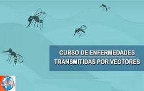 Expertos cubanos lideran esfuerzos contra enfermedades transmitidas por vectores con un curso internacional