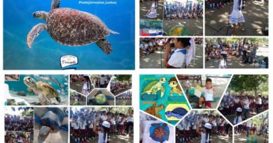 Realizan santacruceños 13 Festival Ambiental de Conservación de las Tortugas Marinas