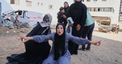 Israeli forces kill 72 Palestinians in Gaza, including 29 seeking aid
