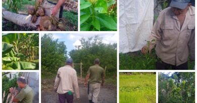 Colaboradores de Proyecto Internacional cultivan alimentos en comunidad santacruceña de La Playa