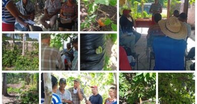 Realizan taller sobre injertos santacruceños integrados a la agricultura urbana