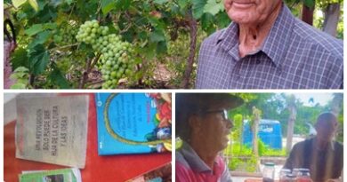Creación de patios y parcelas en territorio santacruceño lleva trabajo y ciencia