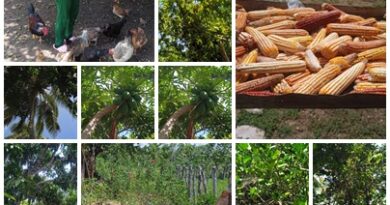 Octogenaria campesina de territorio santacruceño no da cobija al ocio