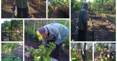 Octogenario pescador jubilado santacruceño encuentra motivaciones de vida en cultivar alimentos