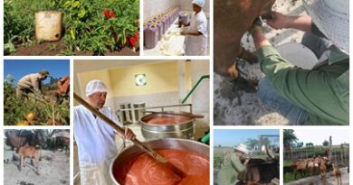 Alcanzar óptimo desarrollo agroalimentario requiere trabajo continuo en territorio santacruceño