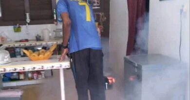 Camagüey calls for action: the fight against the mosquito is everyone’s responsibility (+ Photos)
