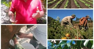 Incumplen santacruceños planes básicos de alimentos y la campaña de siembra de frío