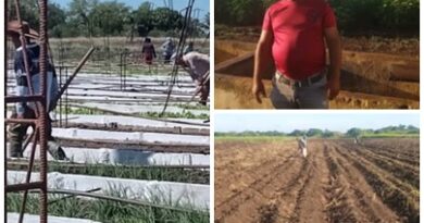 Realizan cambio de labor en organopónico santacruceño de comunidad El Francés