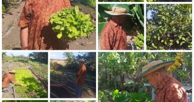 Jubilado agrícola de Santa Cruz del Sur mantiene su patio en producción