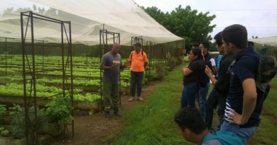 Asociación en Camagüey promueve la agricultura sostenible