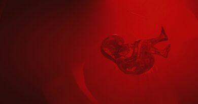 Crean máquina que podría dar inicio a la gestación fuera del cuerpo humano