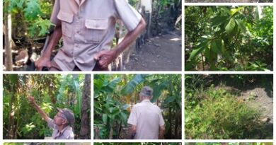 Octogenario combatiente clandestino santacruceño devenido en productor de alimentos en su patio