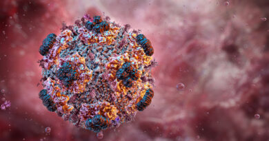 Una cepa contagiosa de hantavirus podría permanecer oculta en el organismo durante años