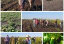 Soberanía Alimentaria, indispensable en gestión de desarrollo en territorio santacruceño