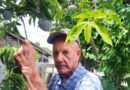 Productor de agricultura familiar estimula siembra de alimentos en localidad santacruceña