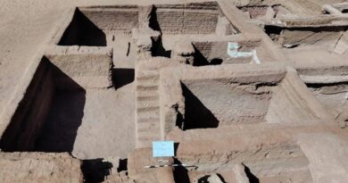 Hallan una ciudad perdida en un oasis de Egipto