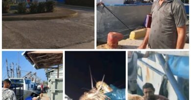 Más de 11 Mil 900 kilogramos de langosta capturan en territorio santacruceño