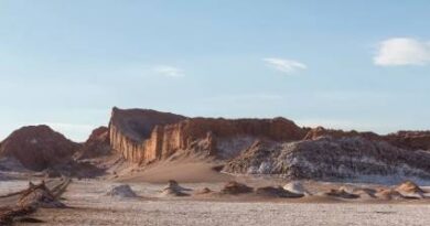 Una enzima del desierto de Atacama es capaz de degradar plástico
