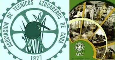 Ratifican técnicos azucareros apoyo a medidas de carácter económico