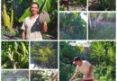 El valor de los frutos de la tierra, una herencia paterna de horticultor santacruceño