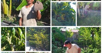El valor de los frutos de la tierra, una herencia paterna de horticultor santacruceño