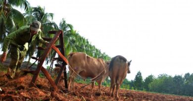 “The country is built from the furrow”