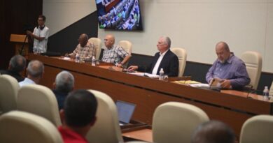 Presidente de Cuba insta a transformar actividad empresarial estatal