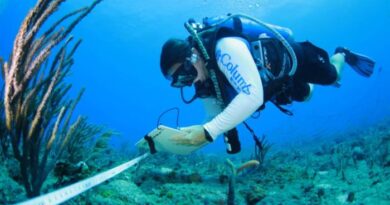 Arrecifes coralinos cubanos enfrentan impactos por calentamiento del mar
