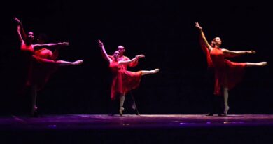 Ballet de Camagüey y otras propuestas animan Jornada de la Cultura Cubana Ballet de Camagüey y otras propuestas animan Jornada de la Cultura Cubana