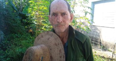El Guajiro, precavido ante el cáncer de piel, sin dejar de cultivar desde casa (+ Fotos)