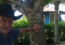 Santacruceño Eugenio sigue apegado al oficio: rememora experiencias en el sector agropecuario Santacruceño Eugenio sigue apegado al oficio: rememora experiencias en el sector agropecuario