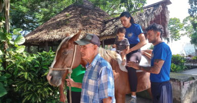 Jardín de Sueños combina rehabilitación, educación y naturaleza en beneficio de la infancia (+ Fotos) Jardín de Sueños combina rehabilitación, educación y naturaleza en beneficio de la infancia (+ Fotos)
